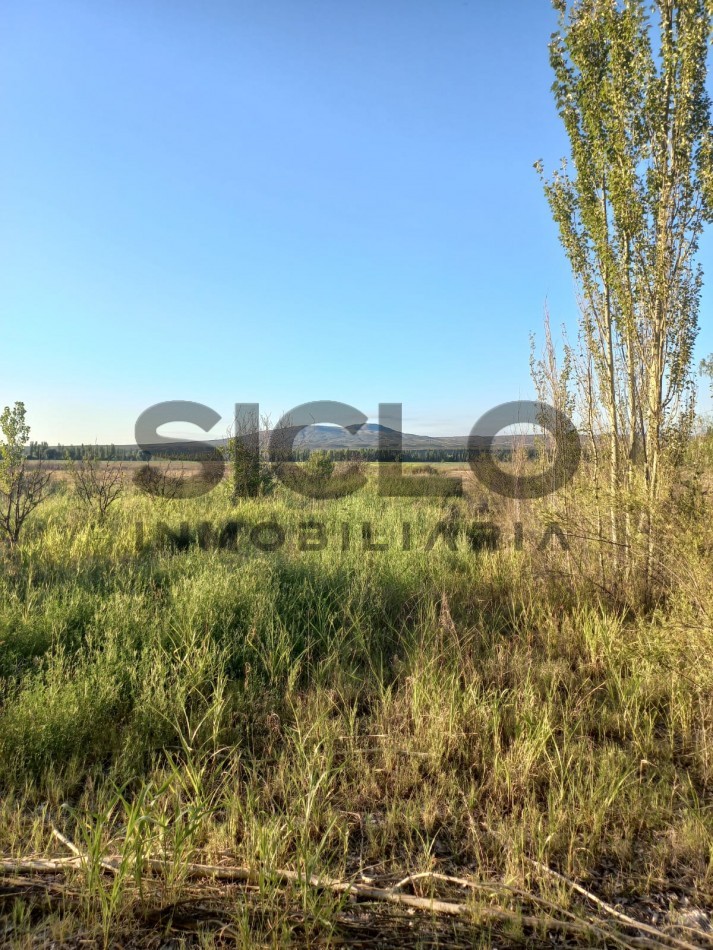 VENTA DE TERRENO DE 8000M2 EN RAMA CAIDA- SAN RAFAEL MENDOZA