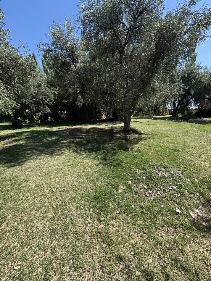 EXCELENTE PROPIEDAD EN RAMA CON DOS CASAS 