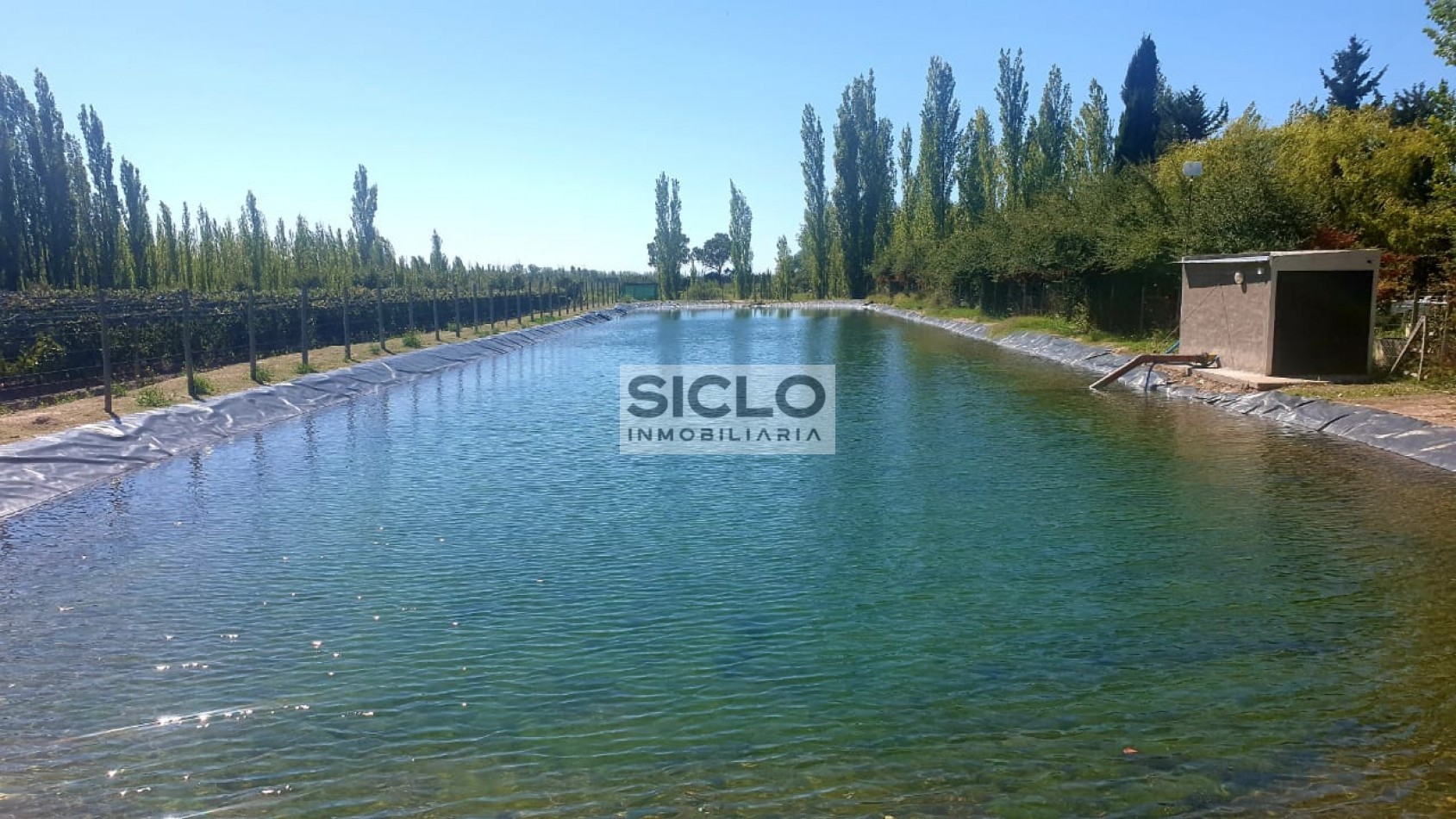 Oportunidad de inversion: Finca de 6ha. con viñedo, en San Rafael,  Mendoza
