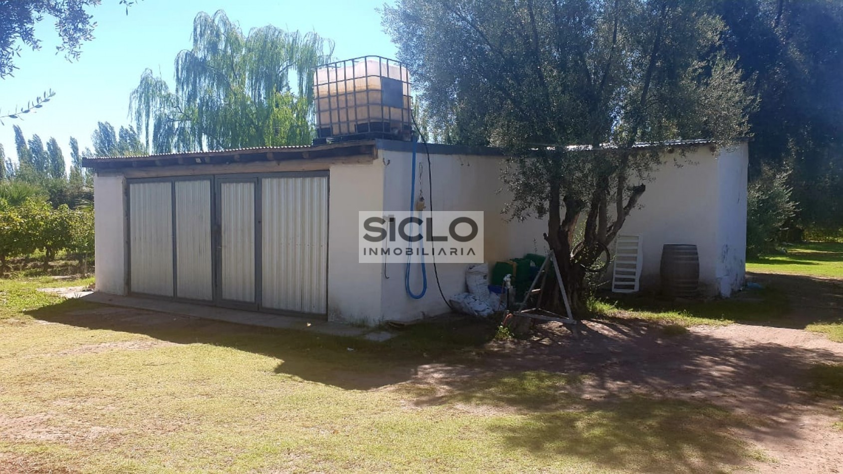Oportunidad de inversion: Finca de 6ha. con viñedo, en San Rafael,  Mendoza