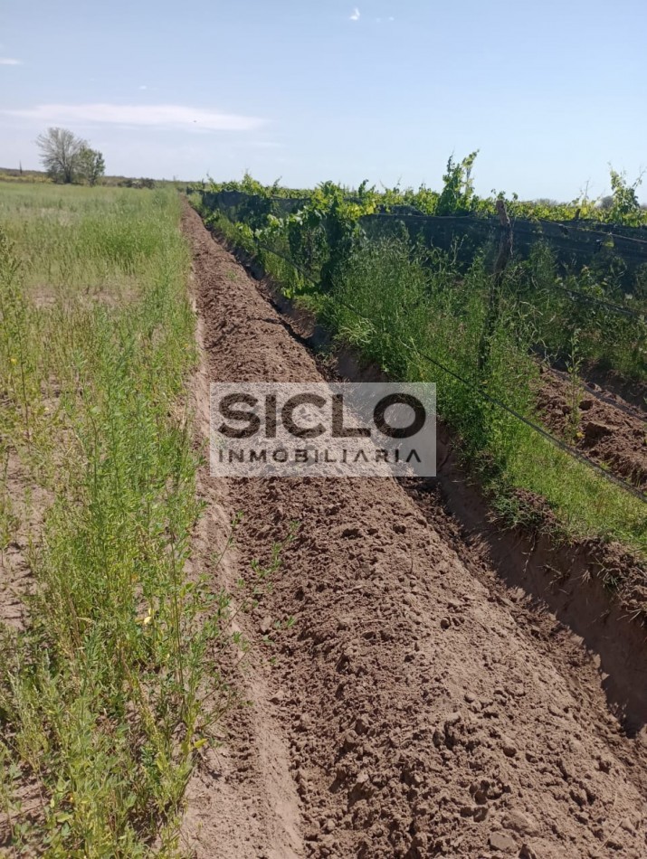 PROPIEDAD RURAL DE 6,32Has.