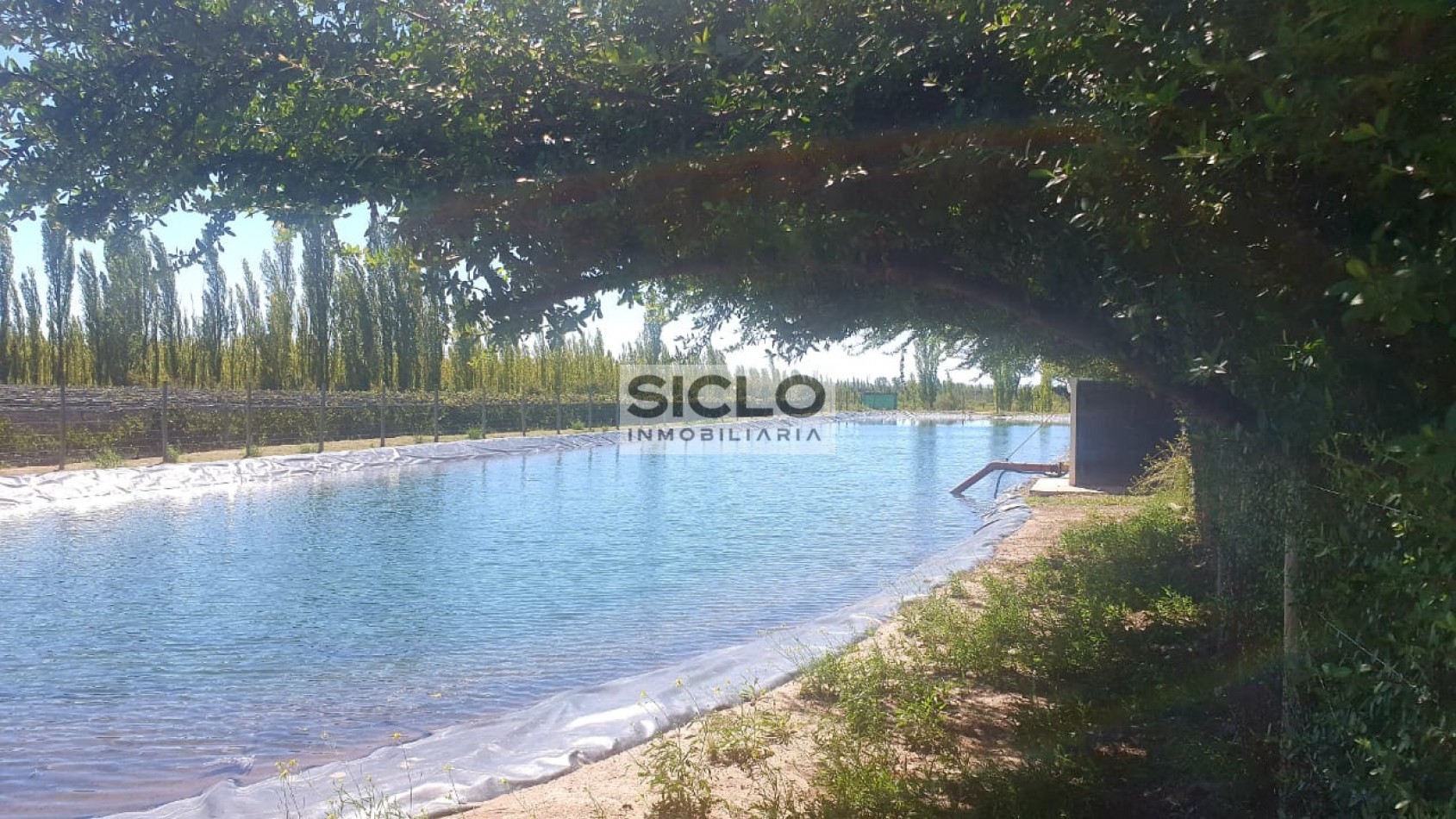 Oportunidad de inversion: Finca de 6ha. con viñedo, en San Rafael,  Mendoza