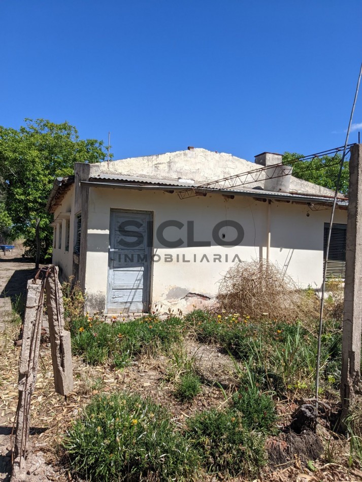 VENDO FINCA  EN  COLONIA LOPEZ - VILLA ATUEL - SAN RAFAEL- MENDOZA