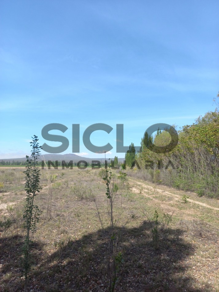 VENTA DE TERRENO DE 8000M2 EN RAMA CAIDA- SAN RAFAEL MENDOZA