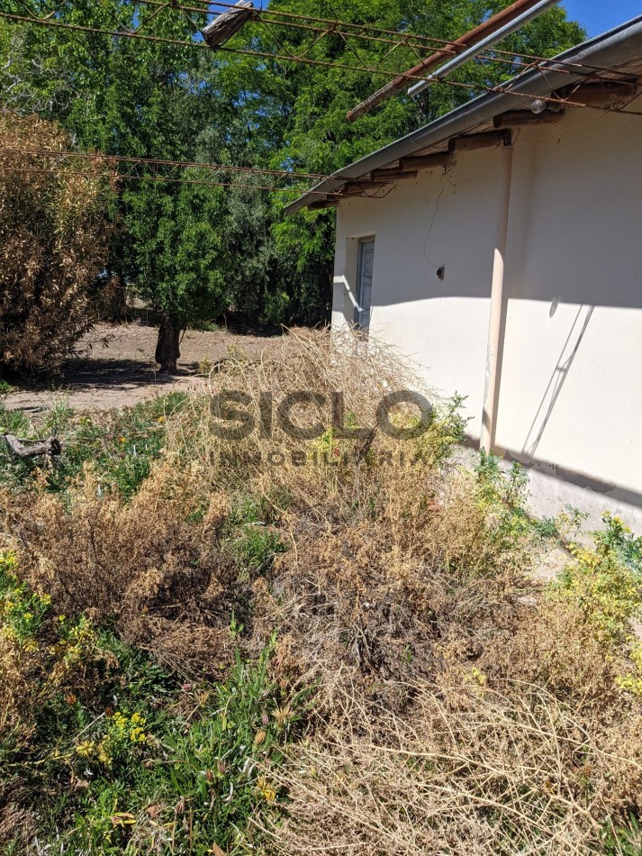 VENDO FINCA  EN  COLONIA LOPEZ - VILLA ATUEL - SAN RAFAEL- MENDOZA