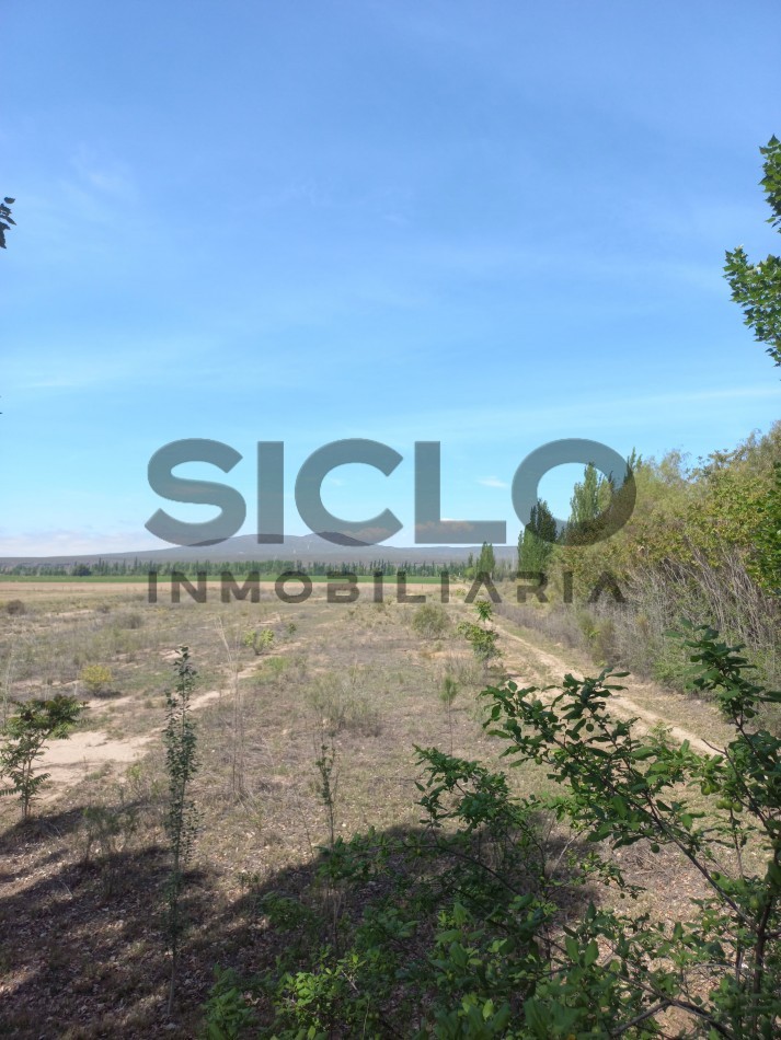 VENTA DE TERRENO DE 8000M2 EN RAMA CAIDA- SAN RAFAEL MENDOZA