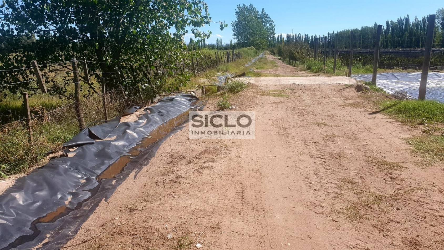 Oportunidad de inversion: Finca de 6ha. con viñedo, en San Rafael,  Mendoza