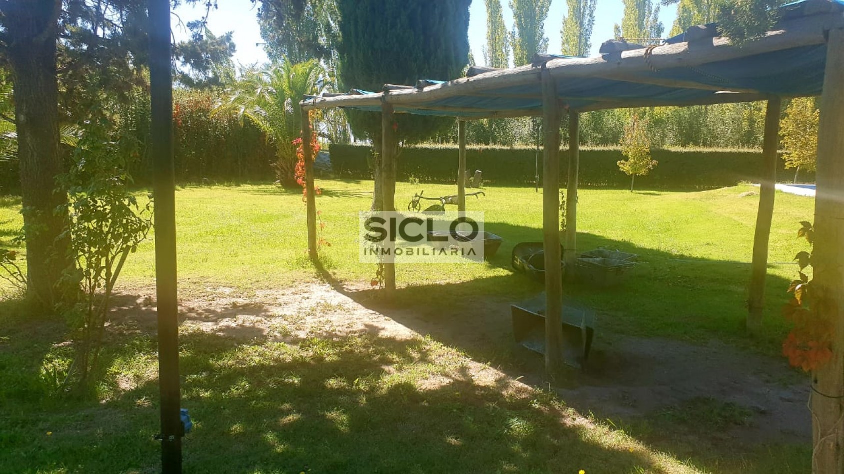 Oportunidad de inversion: Finca de 6ha. con viñedo, en San Rafael,  Mendoza
