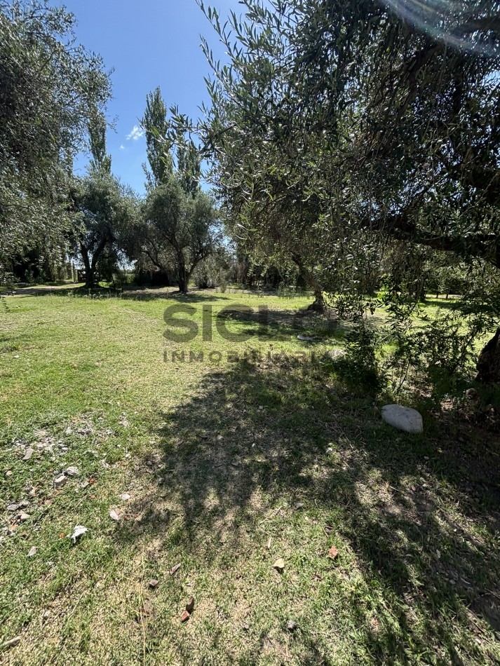 EXCELENTE PROPIEDAD EN RAMA CON DOS CASAS 