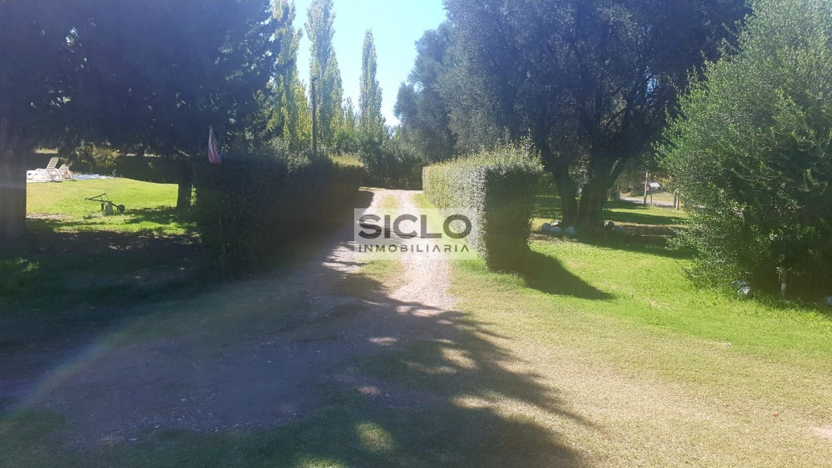 Oportunidad de inversion: Finca de 6ha. con viñedo, en San Rafael,  Mendoza