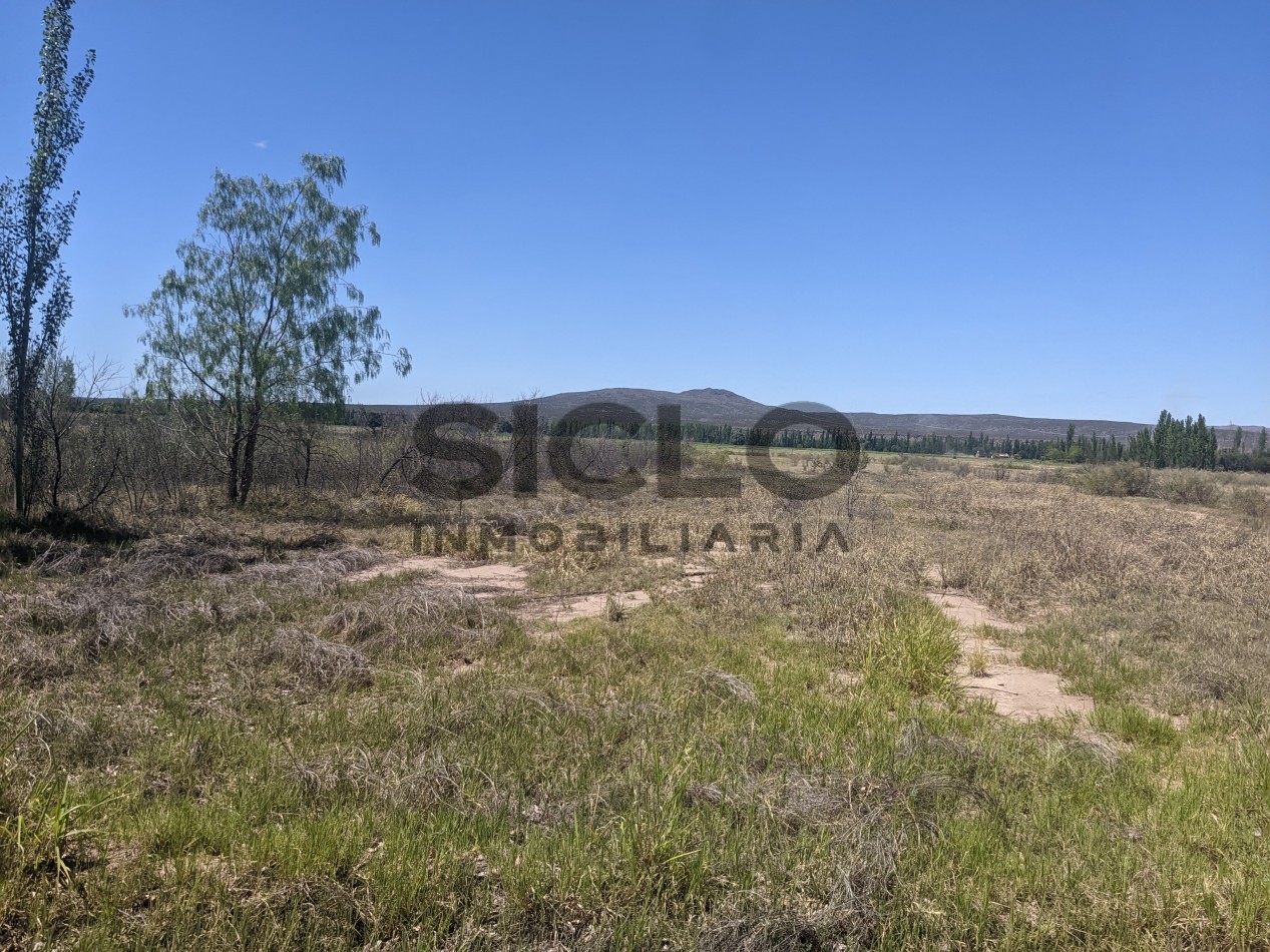 VENTA DE TERRENO DE 8000M2 EN RAMA CAIDA- SAN RAFAEL MENDOZA