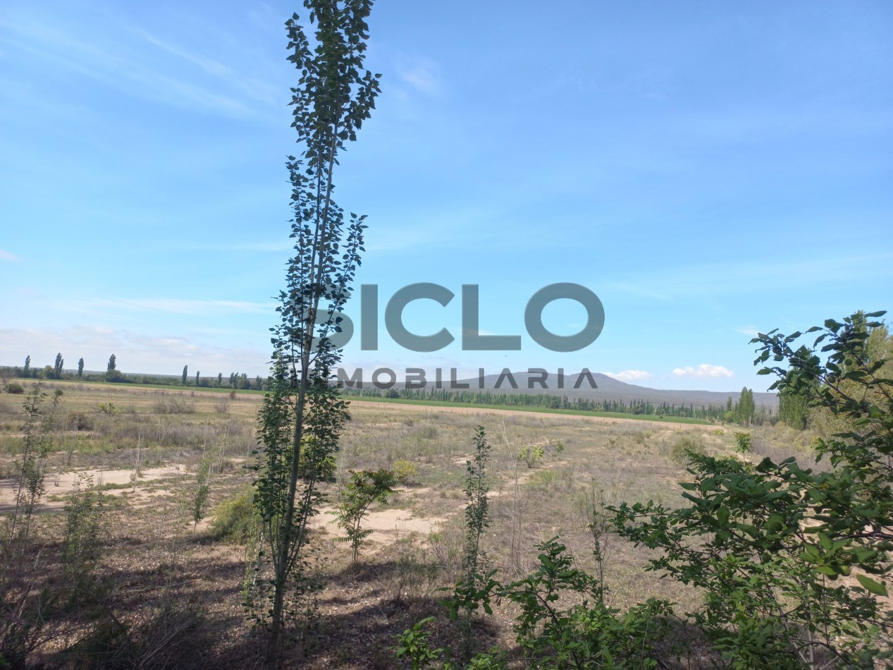 VENTA DE TERRENO DE 8000M2 EN RAMA CAIDA- SAN RAFAEL MENDOZA