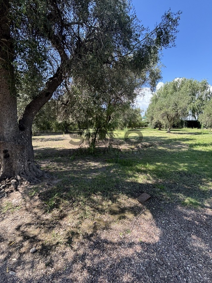 EXCELENTE PROPIEDAD EN RAMA CON DOS CASAS 