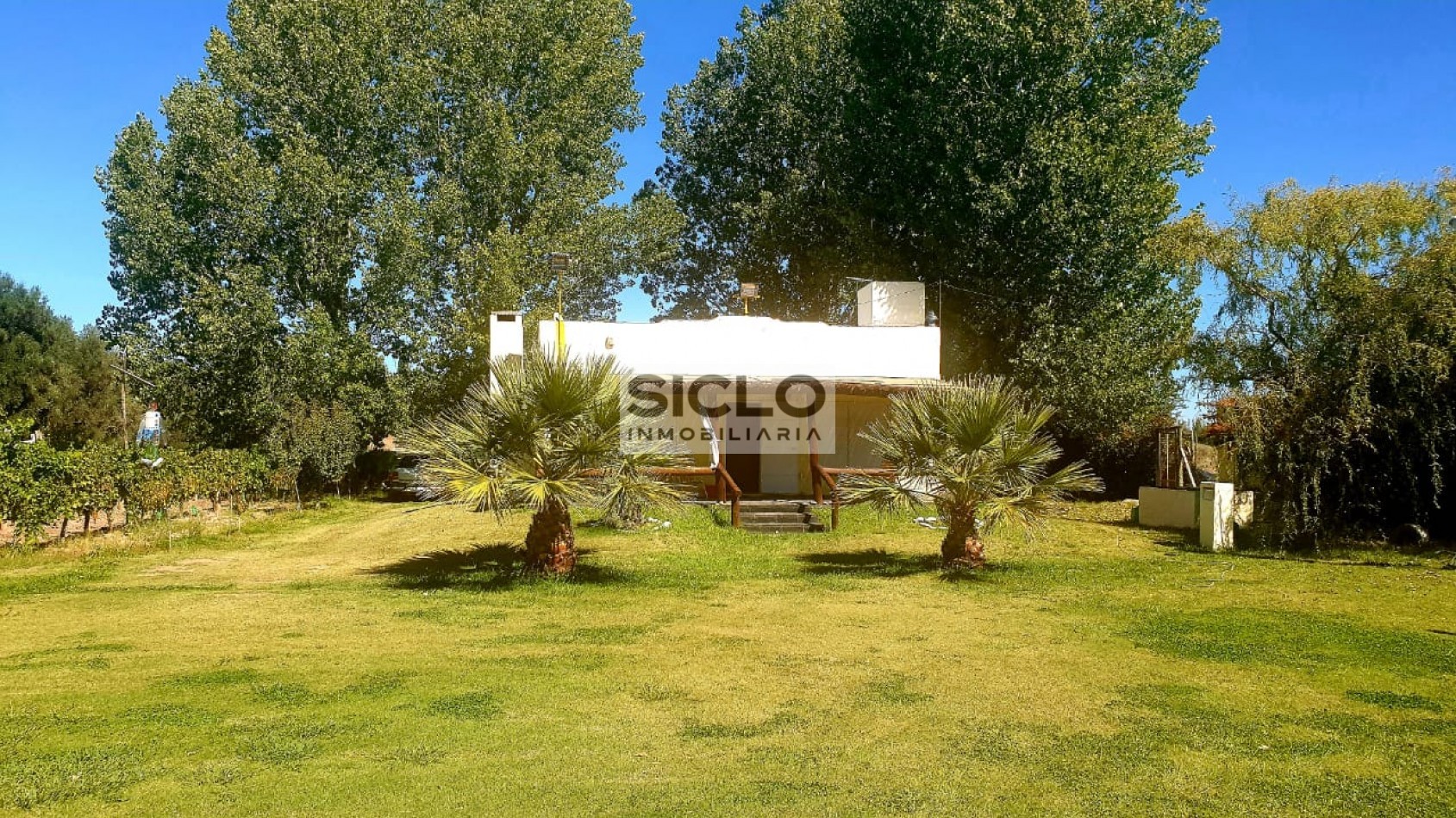 Oportunidad de inversion: Finca de 6ha. con viñedo, en San Rafael,  Mendoza