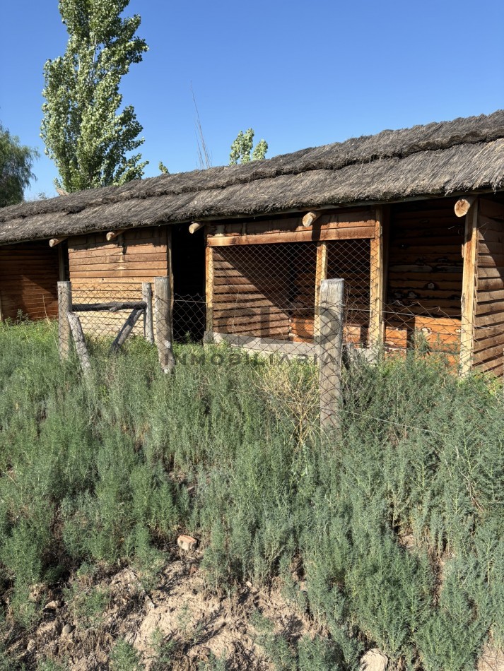 EXCELENTE PROPIEDAD EN RAMA CON DOS CASAS 