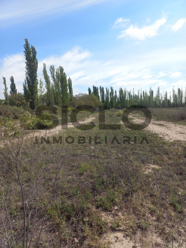 VENTA DE TERRENO DE 8000M2 EN RAMA CAIDA- SAN RAFAEL MENDOZA