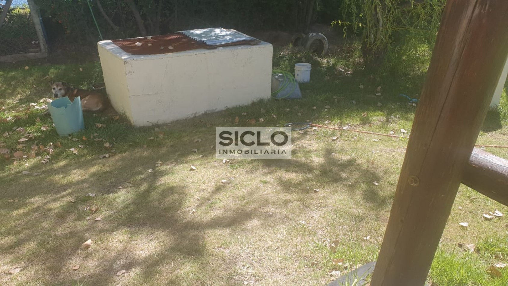 Oportunidad de inversion: Finca de 6ha. con viñedo, en San Rafael,  Mendoza