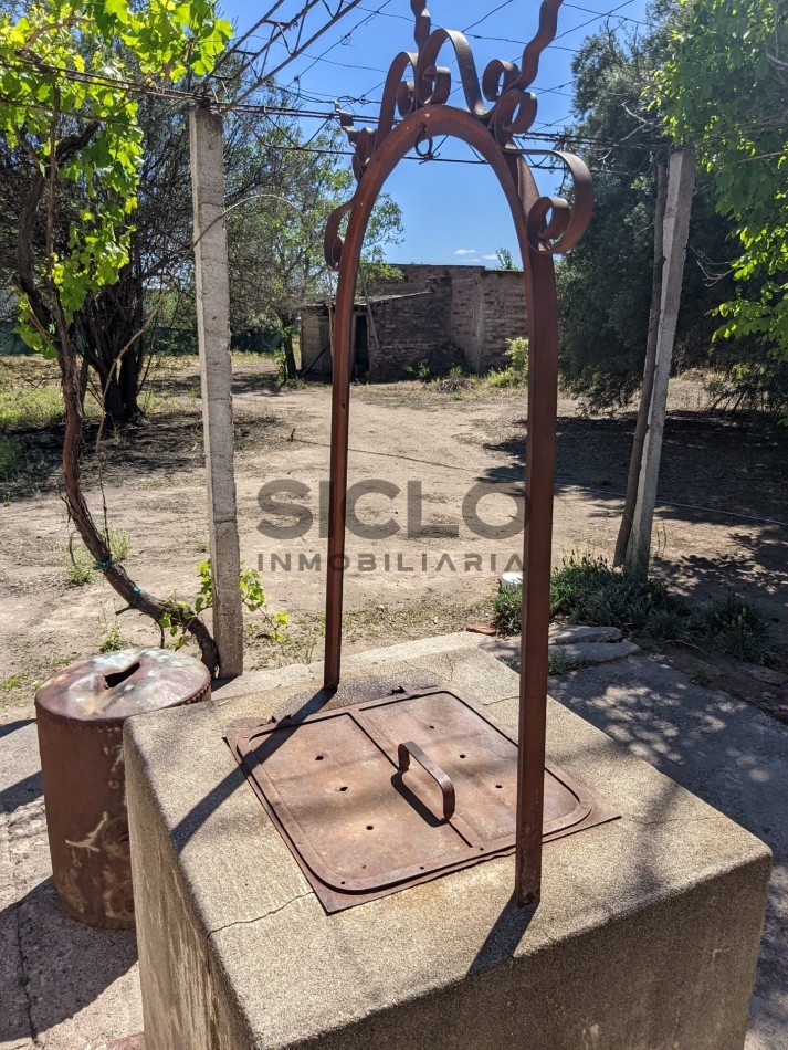 VENDO FINCA  EN  COLONIA LOPEZ - VILLA ATUEL - SAN RAFAEL- MENDOZA