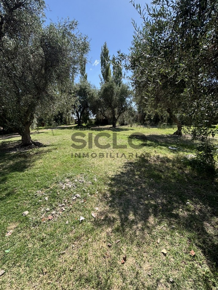 EXCELENTE PROPIEDAD EN RAMA CON DOS CASAS 