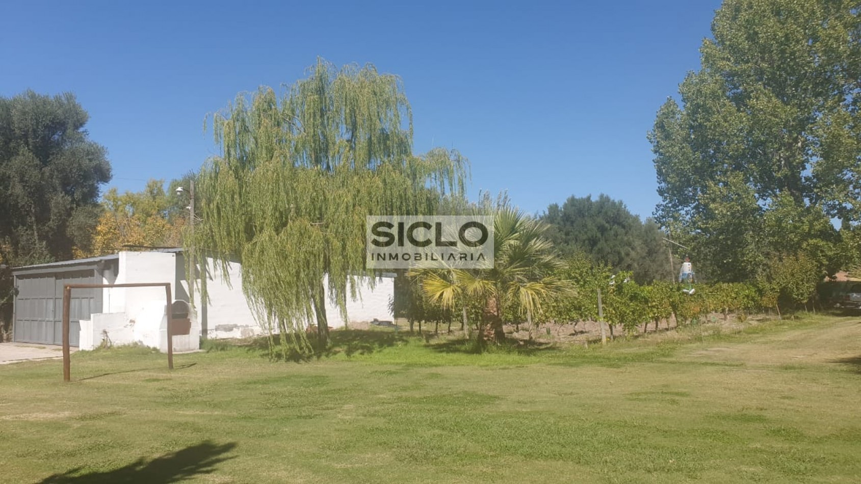 Oportunidad de inversion: Finca de 6ha. con viñedo, en San Rafael,  Mendoza