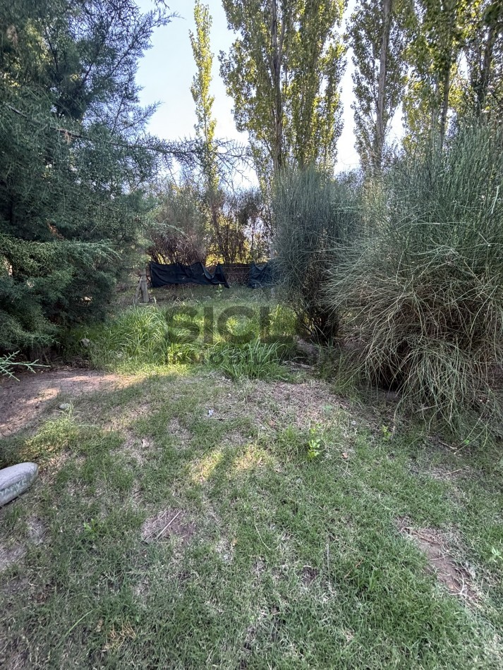 EXCELENTE PROPIEDAD EN RAMA CON DOS CASAS 