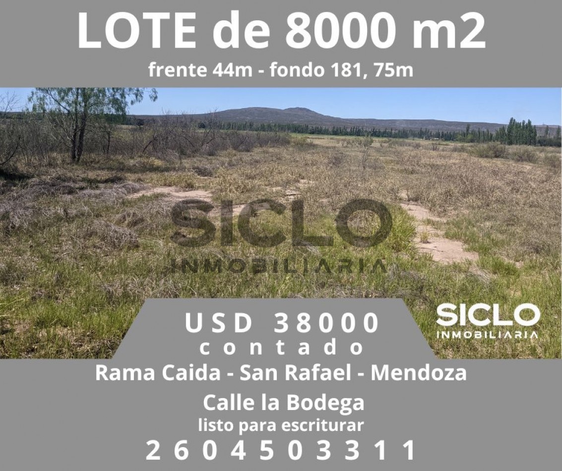 VENTA DE TERRENO DE 8000M2 EN RAMA CAIDA- SAN RAFAEL MENDOZA