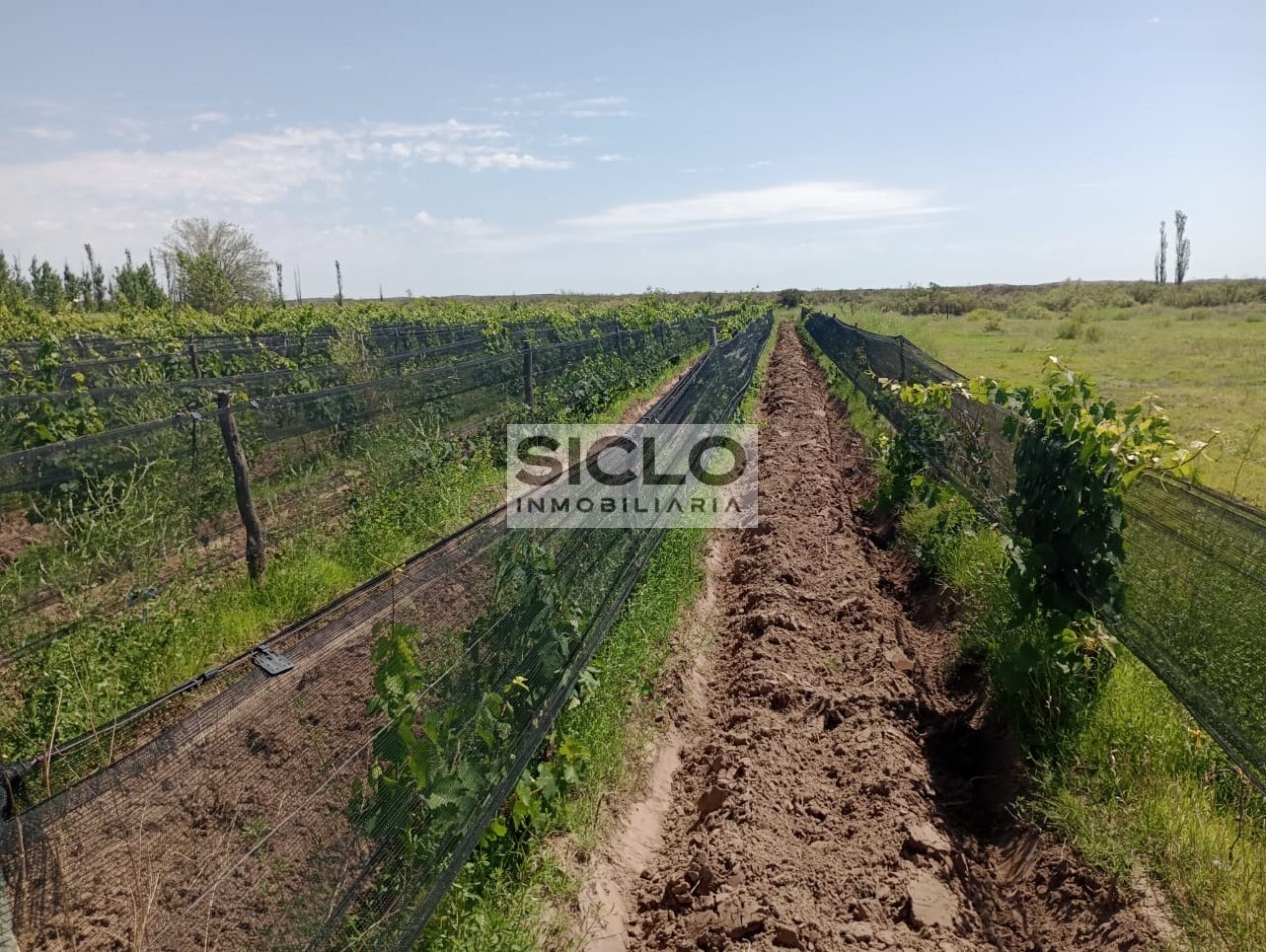 PROPIEDAD RURAL DE 6,32Has.