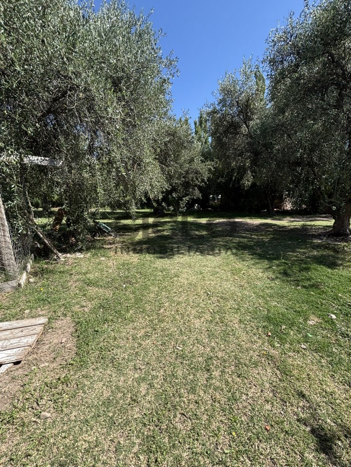 EXCELENTE PROPIEDAD EN RAMA CON DOS CASAS 