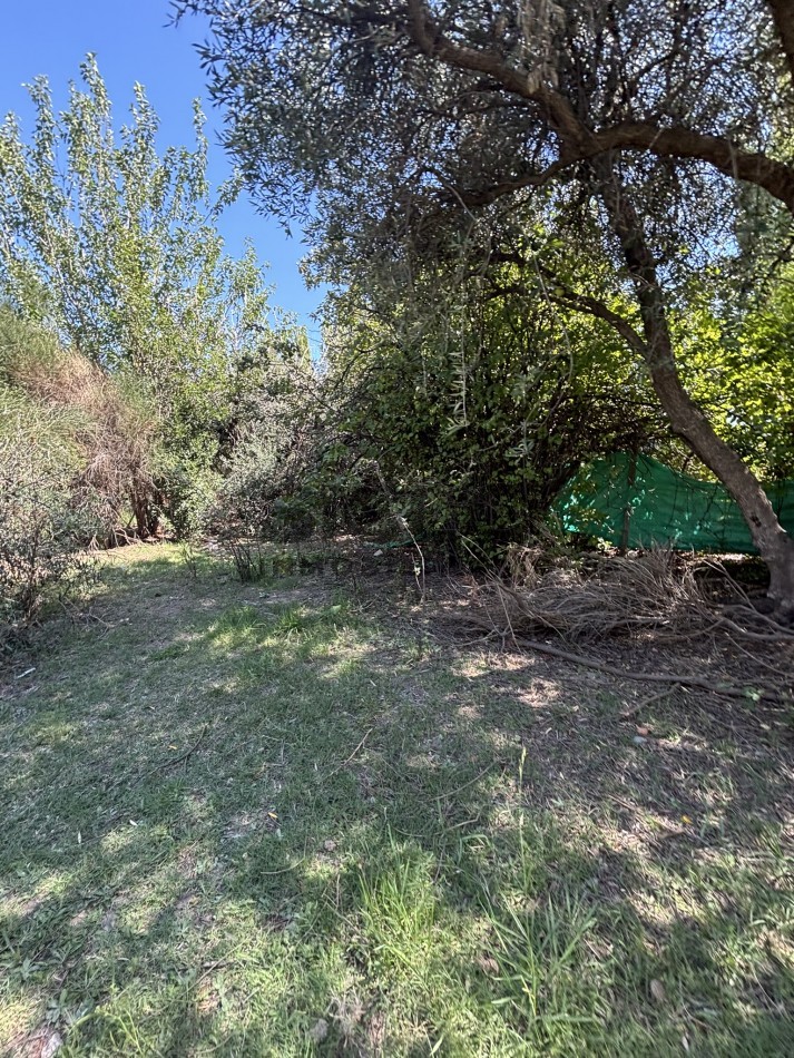 EXCELENTE PROPIEDAD EN RAMA CON DOS CASAS 