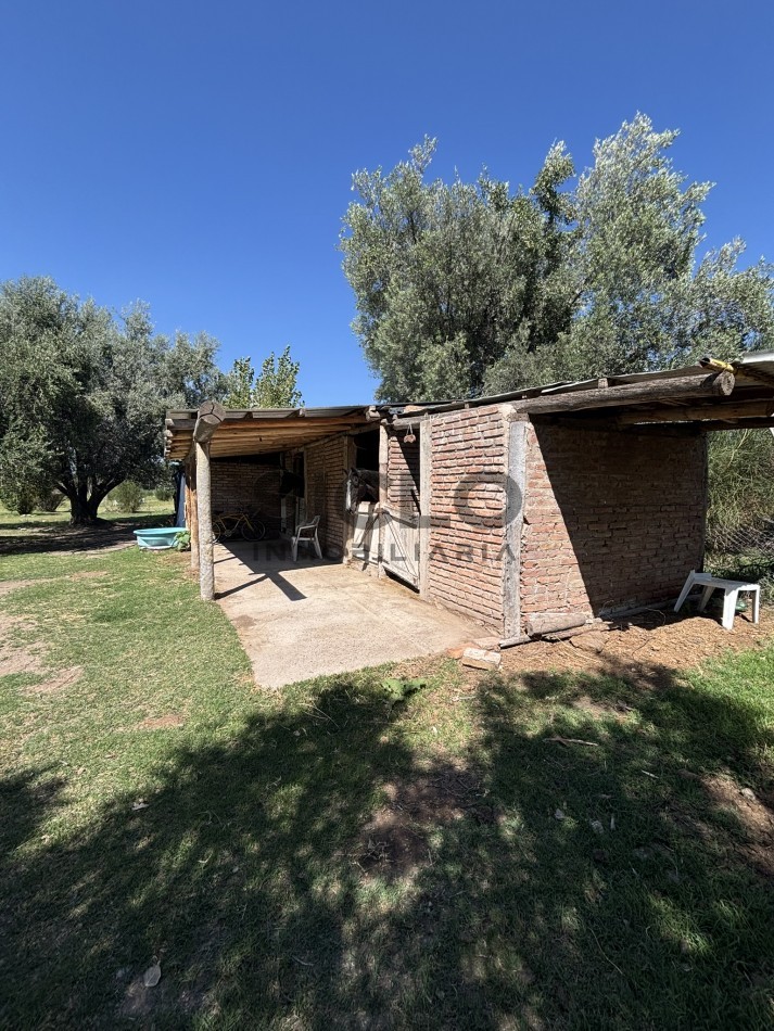 EXCELENTE PROPIEDAD EN RAMA CON DOS CASAS 