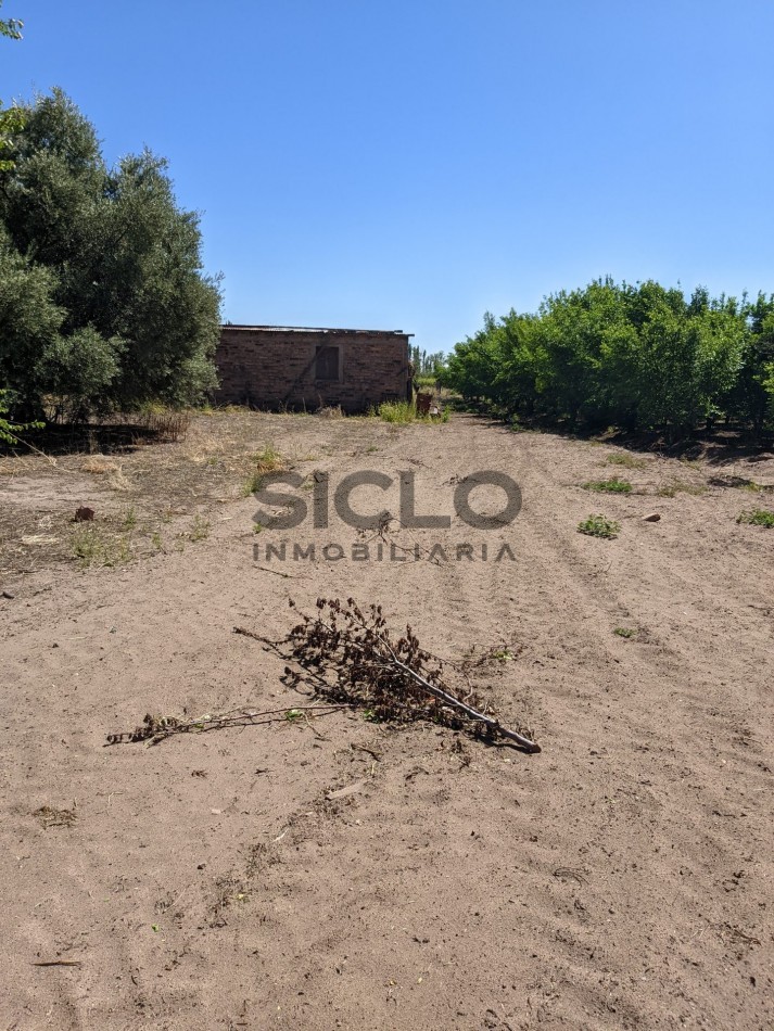 VENDO FINCA  EN  COLONIA LOPEZ - VILLA ATUEL - SAN RAFAEL- MENDOZA