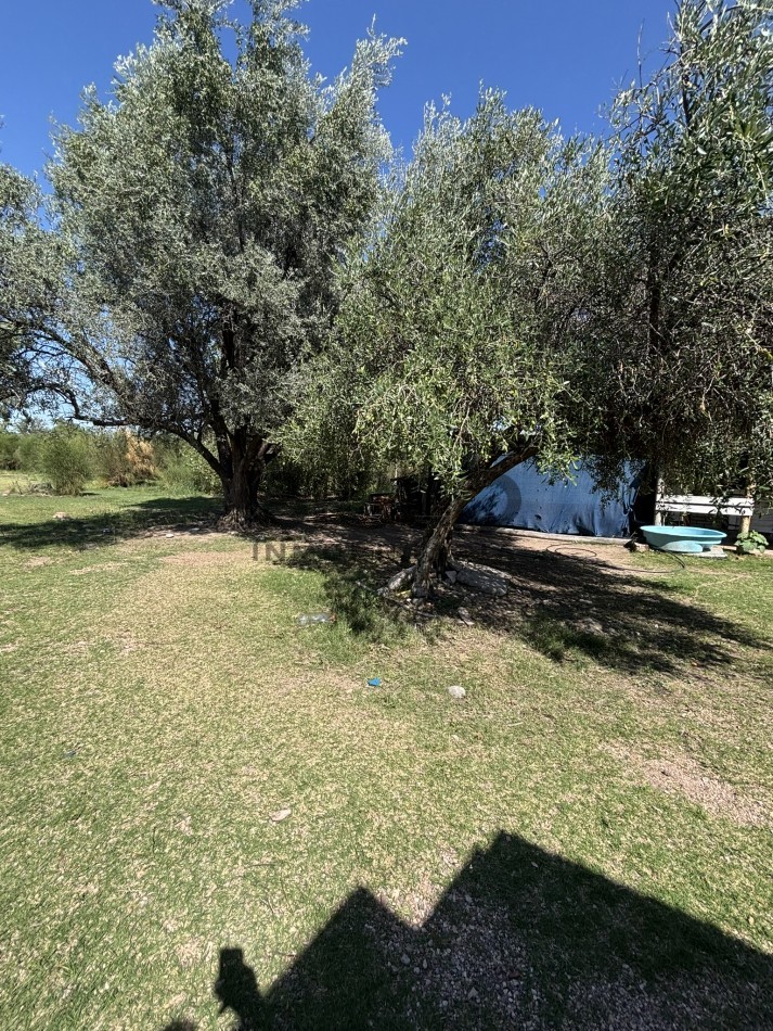 EXCELENTE PROPIEDAD EN RAMA CON DOS CASAS 