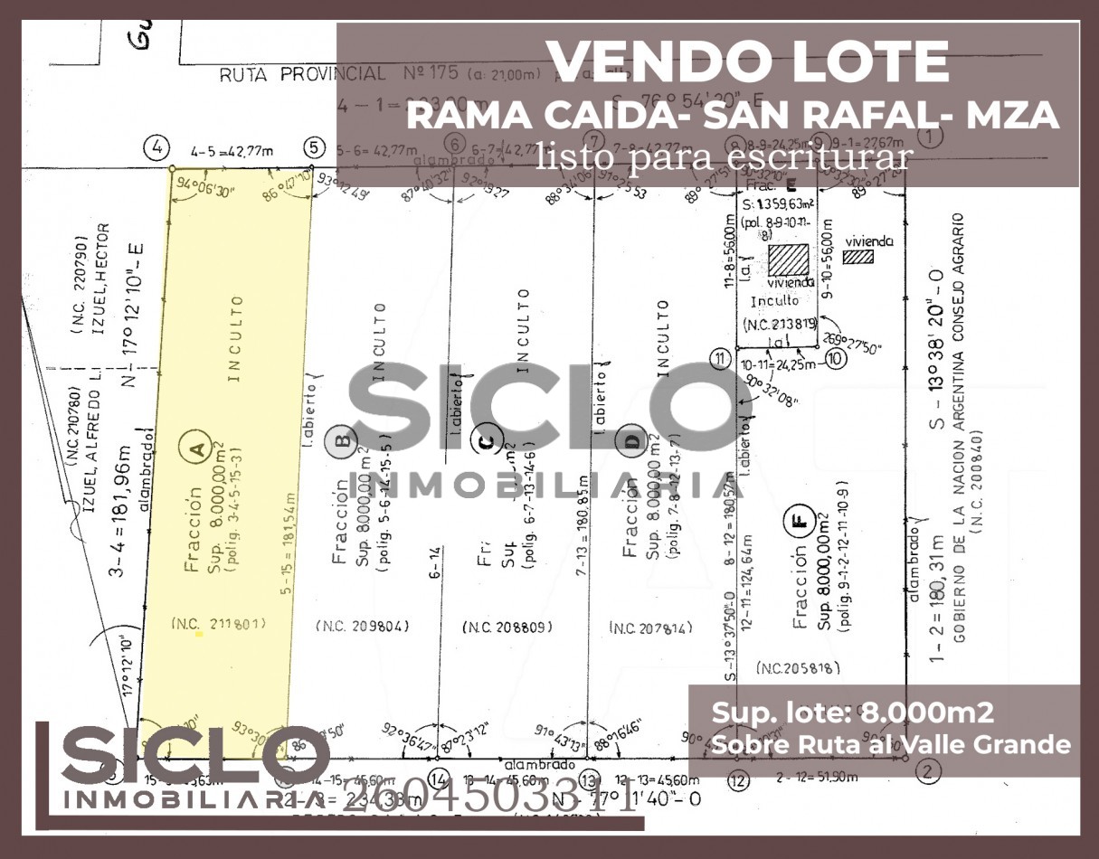 VENTA DE TERRENO DE 8000M2 EN RAMA CAIDA- SAN RAFAEL MENDOZA
