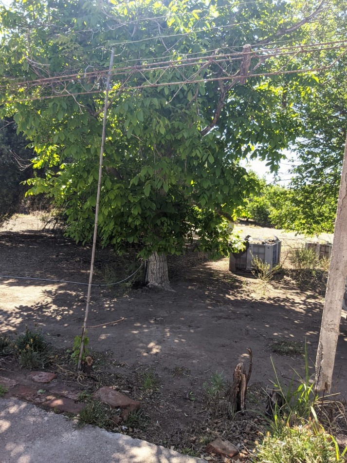 VENDO FINCA  EN  COLONIA LOPEZ - VILLA ATUEL - SAN RAFAEL- MENDOZA