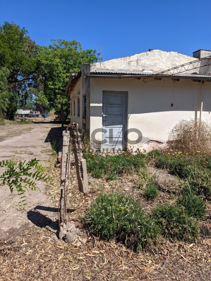 VENDO FINCA  EN  COLONIA LOPEZ - VILLA ATUEL - SAN RAFAEL- MENDOZA