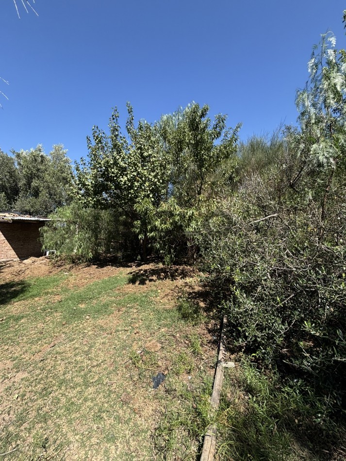 EXCELENTE PROPIEDAD EN RAMA CON DOS CASAS 