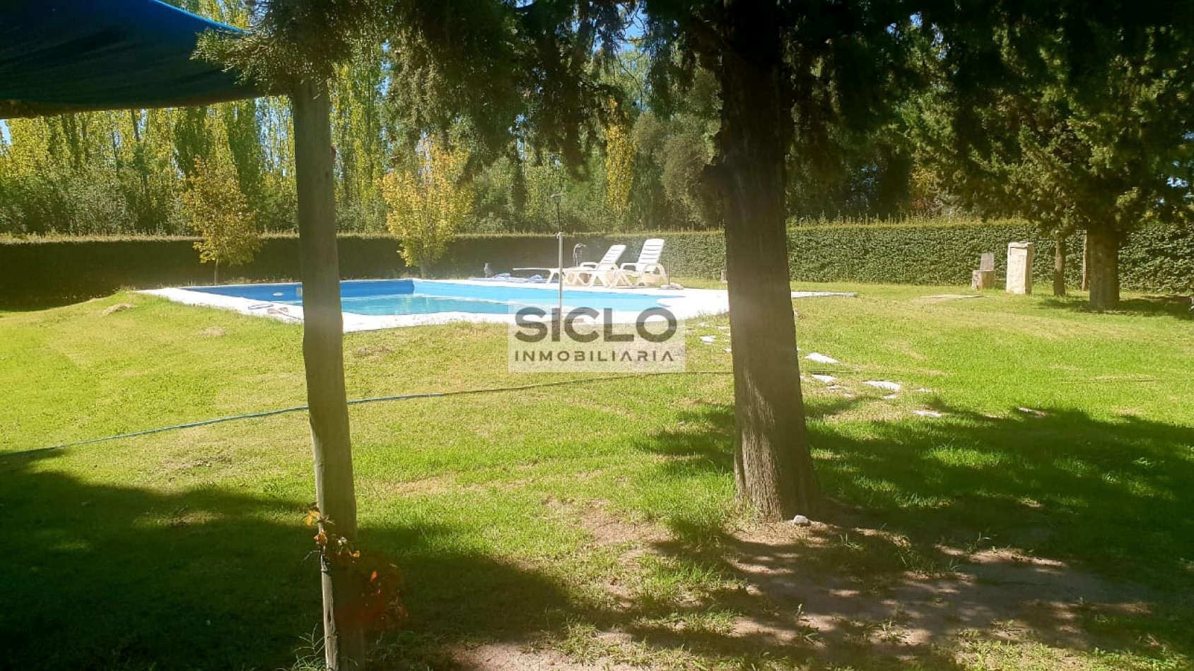 Oportunidad de inversion: Finca de 6ha. con viñedo, en San Rafael,  Mendoza