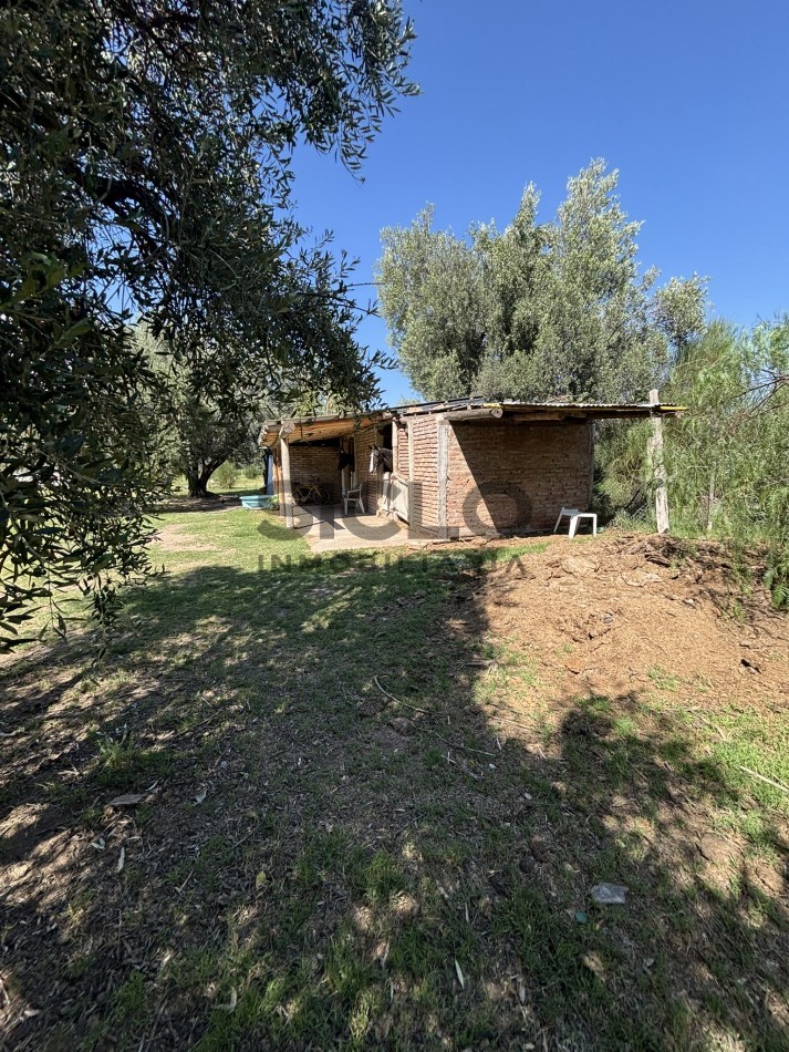 EXCELENTE PROPIEDAD EN RAMA CON DOS CASAS 