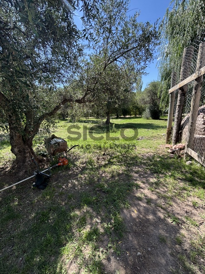 EXCELENTE PROPIEDAD EN RAMA CON DOS CASAS 