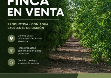 VENDO FINCA  EN  COLONIA LOPEZ - VILLA ATUEL - SAN RAFAEL- MENDOZA